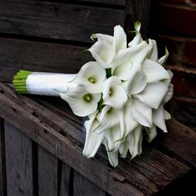 fwthumbCrystal Blush Calla Lily.jpg